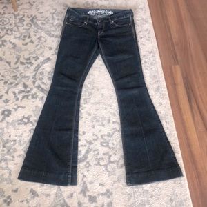 Express Bell bottom jeans